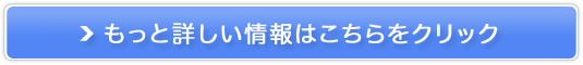 vXL CCN[̔TCg